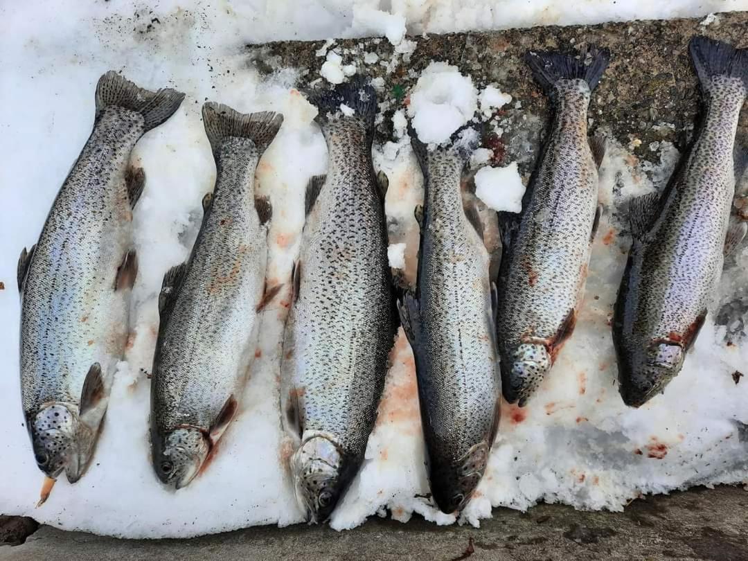 Poiana Bucovat Hotel Gura Humorului Kültér fotó